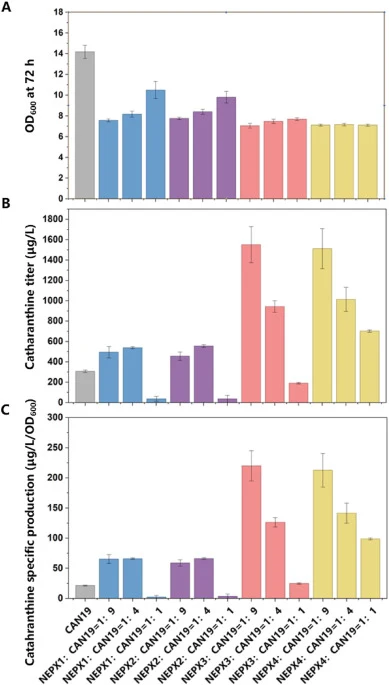 Catharanthine production in P. pastoris co-cultures. (A) Final biomass (OD600), (B) catharanthine titers, and (C) catharanthine specific production (μg/L/OD600) after 72 h of fermentation. Co-cultures of NEPX1–NEPX4 paired with CAN19 were evaluated at initial nepetalactol-producing-to-full-pathway C