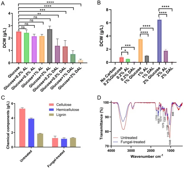 Evaluation of lignin utilization by M. thermophila. (A) Effects of different concentrations (0.2–2%, w/v) of AL and DAL on fungal growth. (B) Mycelial DCW of M. thermophila cultured with 0.2%, 1% and 2% (w/v) lignin (AL or DAL) as the sole carbon source for 3 days (statistical analysis was performed