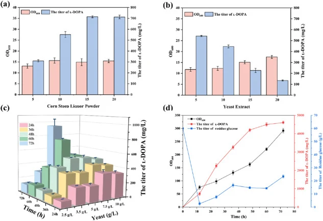 Scale-up and fermenter optimization of ʟ-DOPA production in C. glutamicum. (a) Effect of different corn steep liquor powder concentrations on ʟ-DOPA fermentation. (b) Effect of different yeast extract concentrations on ʟ-DOPA fermentation. (c) Time-dependent ʟ-DOPA production under different yeast e