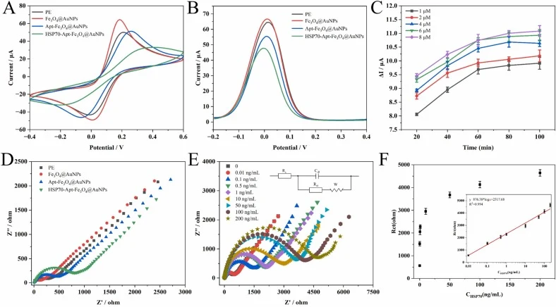 Electrochemical characterization and optimization of the Apt-Fe₃O₄@AuNPs aptamer sensor. (A) CV curves for PE, Fe₃O₄@AuNPs, Apt-Fe₃O₄@AuNPs, and HSP70-Apt-Fe₃O₄@AuNPs. (B) DPV curves for PE, Fe₃O₄@AuNPs, Apt-Fe₃O₄@AuNPs, and HSP70-Apt-Fe₃O₄@AuNPs. (C) DPV analysis illustrating the effects of aptamer