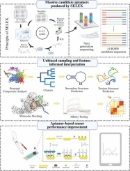 Beyond abundance in SELEX-NGS: AI-guided decoding of aptamer