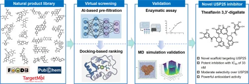 Discovery of a novel natural USP25 inhibitor via an integrat