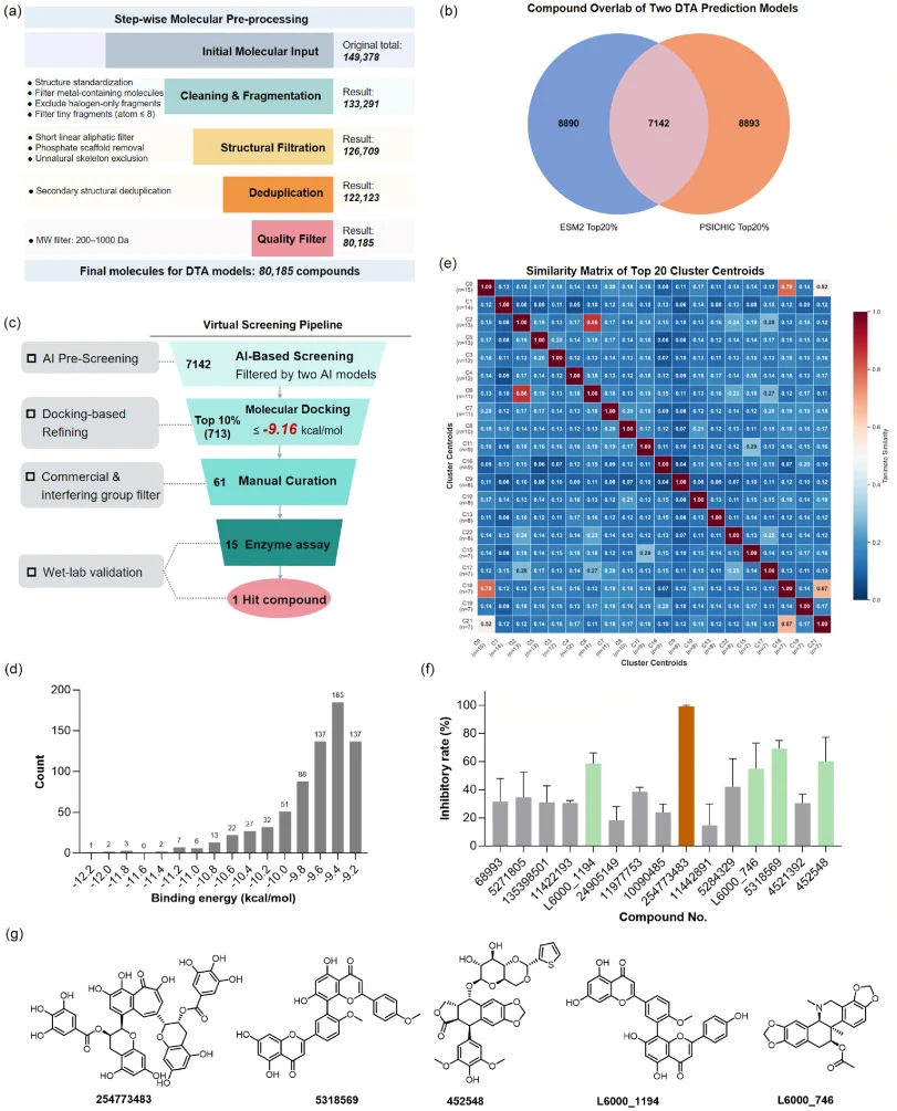 Statistical outcomes at each stage during multi-layer USP25 virtual screening. (a) Step-by-step statistics of molecular library preprocessing; (b) Venn diagram displaying candidate overlap from the top 20% predictions yielded by two DTA models; (c) Compound count reduction across sequential computat