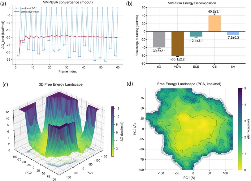 Thermodynamic analysis of TF-USP25 binding using MM-PBSA and free energy landscape calculation. (a) Convergence analysis of MM-PBSA binding free energy: discrete points represent per-frame ΔG, red curve denotes cumulative mean of binding free energy across sampled frames; (b) Decomposition of total