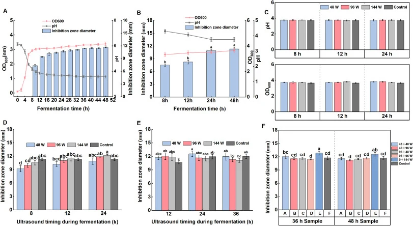 Effects of ultrasound treatment conditions on the antibacterial activity of L. plantarum L13 cell-free supernatant (A) Changes in OD600, pH, and inhibition zone diameter during fermentation; (B) Changes in OD600, pH, and inhibition zone diameter in the non-ultrasound group at different fermentation