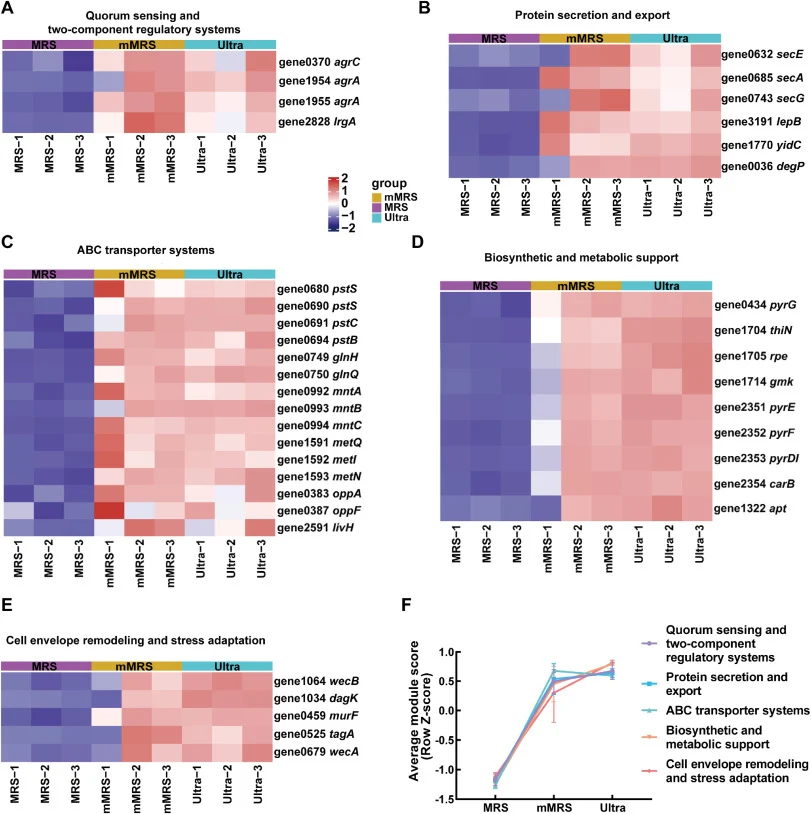 Functional classification and expression patterns of the progressively responsive upregulated gene set (A) Heatmap of genes related to quorum sensing and two-component regulatory systems; (B) Heatmap of genes related to protein secretion and export; (C) Heatmap of genes related to ABC transporter sy