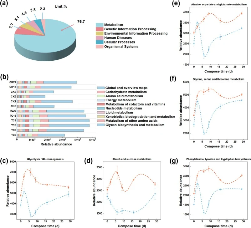 KEGG functional prediction of the compost microbial community. (a) Mean relative abundance of Level 1 functional categories. Values were averaged from the total predicted functional gene abundance of all samples (TC and CK groups) using PICRUSt2. (b) Distribution of gene abundance for the top 10 met