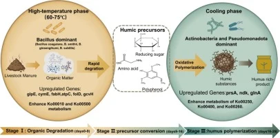 Isolation of complementary thermophilic Bacillus strains and