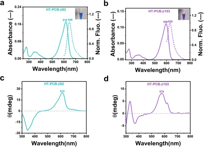Characterization of the HT-PCB-β82 and HT-PCB-β153. (a) Absorption (cyan solid line) and fluorescence emission spectra (cyan dashed line) of HT-PCB-β82. (b) Absorption (purple solid line) and fluorescence emission spectra (purple dashed line) of HT-PCB-β153. (c) CD spectra of HT-PCB-β82. The CD spec