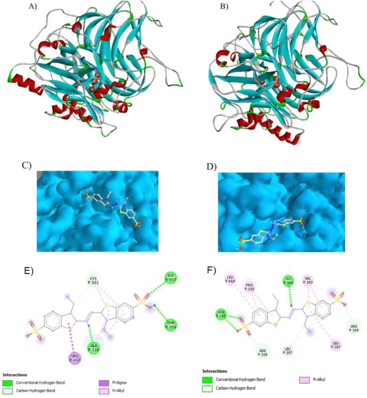 Molecular docking. A) Surface diagram of docking between native lacase and ABTS; B) Surface diagram of docking between recombinant lacase and ABTS; C) 2D diagram of ligand-residue interactions between native lacase and ABTS using Discovery Studio Visualizer; D) 2D diagram of ligand-residue interacti