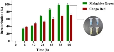 Dye decolorization of Malachite Green and Congo Red by MCO12 recombinant laccase. (For interpretation of the references to color in this figure legend, the reader is referred to the Web version of this article.)