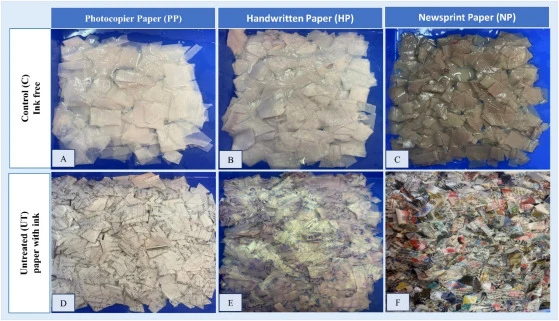 Representative images of paper samples before deinking: (A–C) control papers with no ink and (DF) untreated (UT) papers containing ink, to be subjected to deinking, representing photocopier paper, handwritten paper, and newsprint paper, respectively. The demonstrated paper samples are cut into small