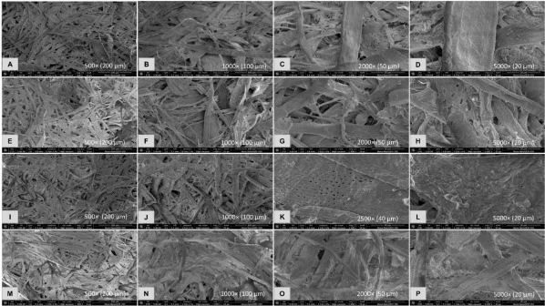 SEM micrographs of photocopier paper samples subjected to various deinking treatments observed at varying magnifications. a: UT paper at 500×; b: UT paper at 1000×, c: UT paper at 2000×; d: UT paper at 5000×, e: CC treated paper at 500×; f: CC treated paper at 1000×, g: CC treated paper at 2000×; h:
