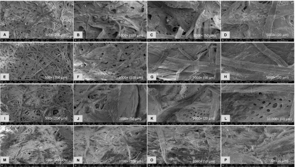 SEM micrographs of handwritten paper samples subjected to various deinking treatments observed at varying magnifications. a: UT paper at 500×; b: UT paper at 1000×, c: UT paper at 2000×; d: UT paper at 5000×, e: CC treated paper at 500×; f: CC treated paper at 1000×, g: CC treated paper at 2000×; h: