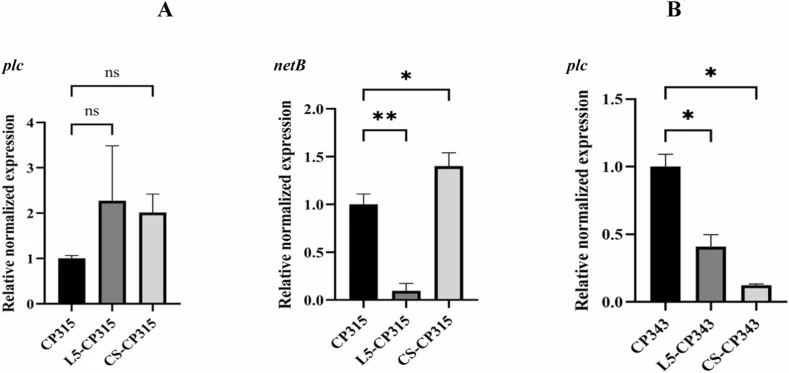 Relative gene expression of Clostridium perfringens toxin genes in co-culture with B. subtilis L5. A, Relative gene expression of CP315 plc and netB in co-culture with L5; B, Relative gene expression of CP343 plc in co-culture with L5. Data are presented as mean ± standard error of the mean (SEM). B