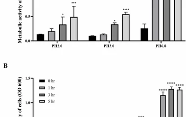 枯草芽孢杆菌L5抗产气荚膜梭菌特性与基因组解析