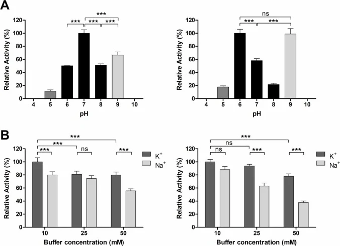 Determination of buffer pH and concentration optimum for each SIase reaction. Left: BU1 SIase. Right: LB2 SIase. A) SIase activity in different buffer pH. Grey (sodium citrate buffer), black (sodium phosphate buffer), light grey (glycine-NaOH buffer). B) SIase activity in different concentrations of