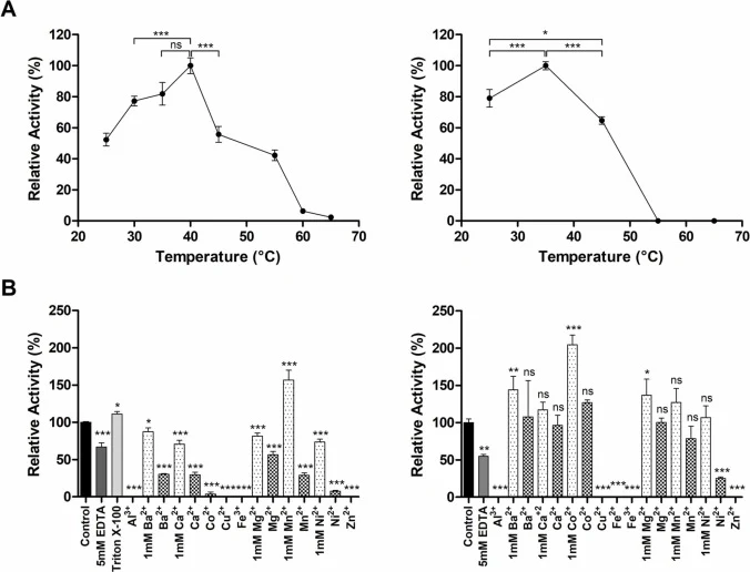 Determination of optimum temperature and the effect of chemicals or metal ions in SIase activity. Left: BU1 SIase. Right: LB2 SIase. A) Analysis of optimum reaction temperature. Activity was normalized to the maximum mean value (100%) for each enzyme and data were analyzed by one-way ANOVA and Tukey