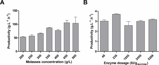 Isomaltulose productivity using the BU enzyme extract under different molasses and enzyme-loading conditions. A) Productivity at increasing final molasses concentrations (200–500 g/L), with the volume of enzyme extract increased proportionally to molasses concentration. B) Productivity at different
