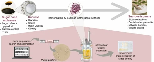 Recombinant sucrose isomerases in Pichia pastoris for the pr
