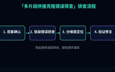 多片段拼接克隆错误筛查