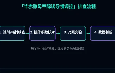 教程配图2:毕赤酵母甲醇诱导慢调控 排查流程示意