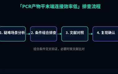 教程配图3:PCR产物平末端连接效率低 排查流程示意