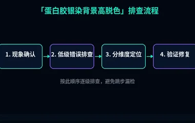 蛋白胶银染背景高脱色
