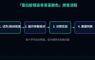 教程配图2:蛋白胶银染背景高脱色 排查流程示意