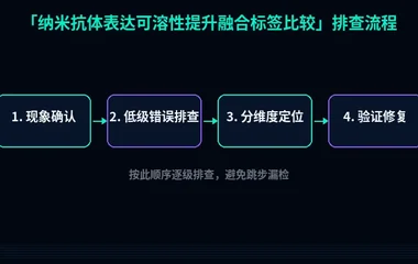 纳米抗体表达可溶性提升融合标签比较