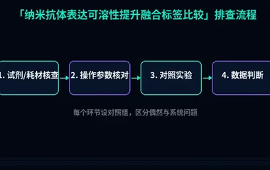 教程配图2:纳米抗体表达可溶性提升融合标签比较 排查流程示意