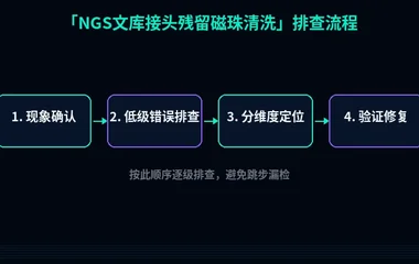 NGS文库接头残留磁珠清洗