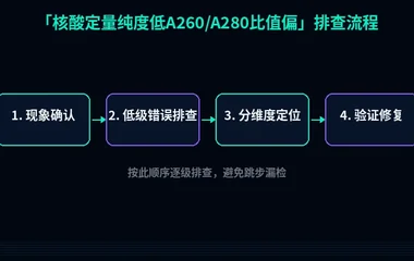 核酸定量纯度低A260/A280比值偏