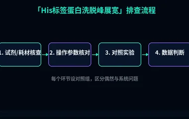 教程配图2:His标签蛋白洗脱峰展宽 排查流程示意