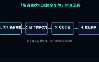 教程配图2:蛋白表达包涵体变复性 排查流程示意