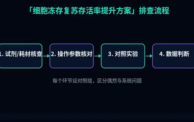 教程配图2:细胞冻存复苏存活率提升方案 排查流程示意