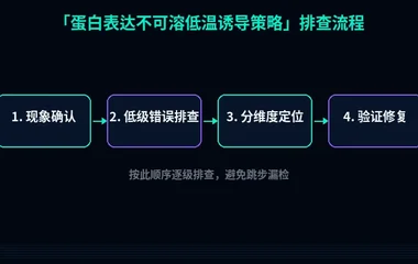 蛋白表达不可溶低温诱导策略