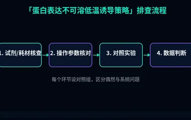 教程配图2:蛋白表达不可溶低温诱导策略 排查流程示意