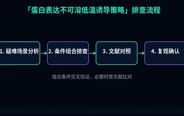 教程配图3:蛋白表达不可溶低温诱导策略 排查流程示意