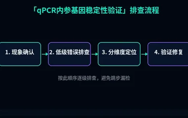 qPCR内参基因稳定性验证