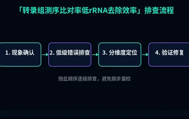转录组测序比对率低rRNA去除效率