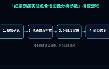 细胞划痕实验愈合慢图像分析参数