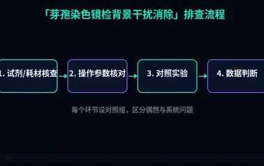 教程配图2:芽孢染色镜检背景干扰消除 排查流程示意