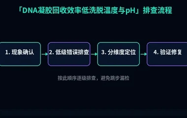 DNA凝胶回收效率低洗脱温度与pH