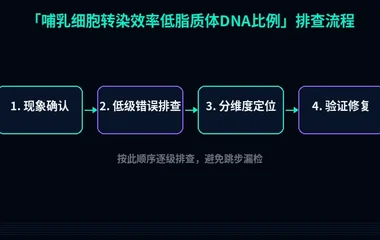 哺乳细胞转染效率低脂质体DNA比例