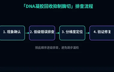 DNA凝胶回收抑制酶切