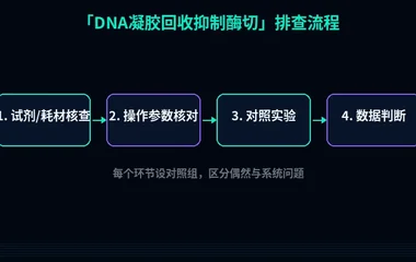 教程配图2:DNA凝胶回收抑制酶切 排查流程示意