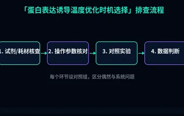 教程配图2:蛋白表达诱导温度优化时机选择 排查流程示意