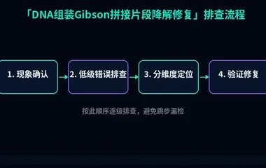 DNA组装Gibson拼接片段降解修复