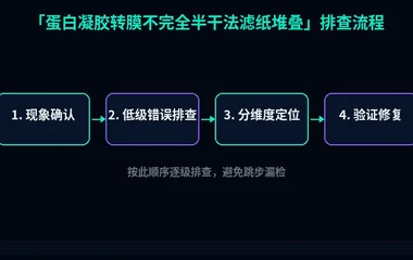蛋白凝胶转膜不完全半干法滤纸堆叠